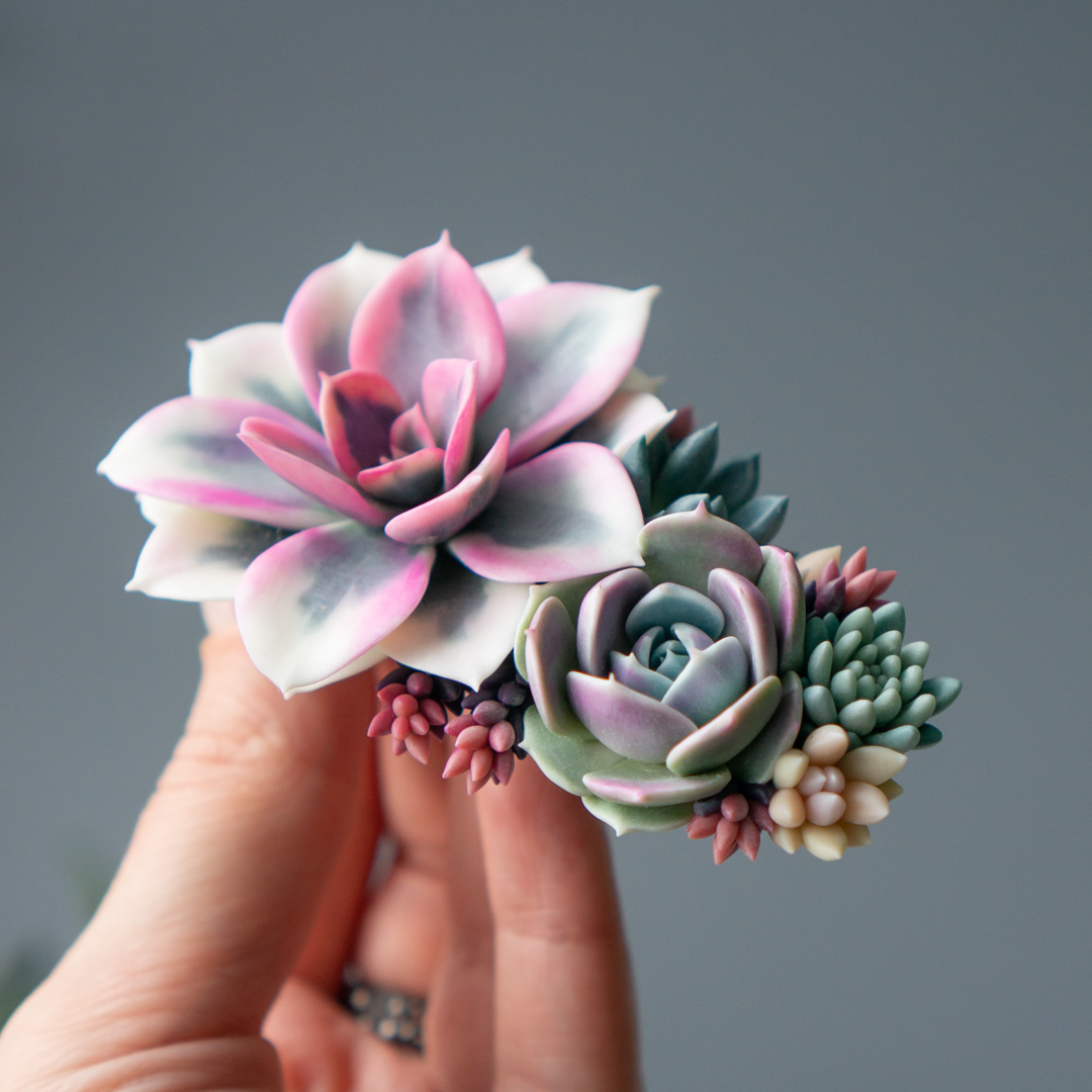 8_handcrafted_succulent_hairclip_with_echeveria_rainbow