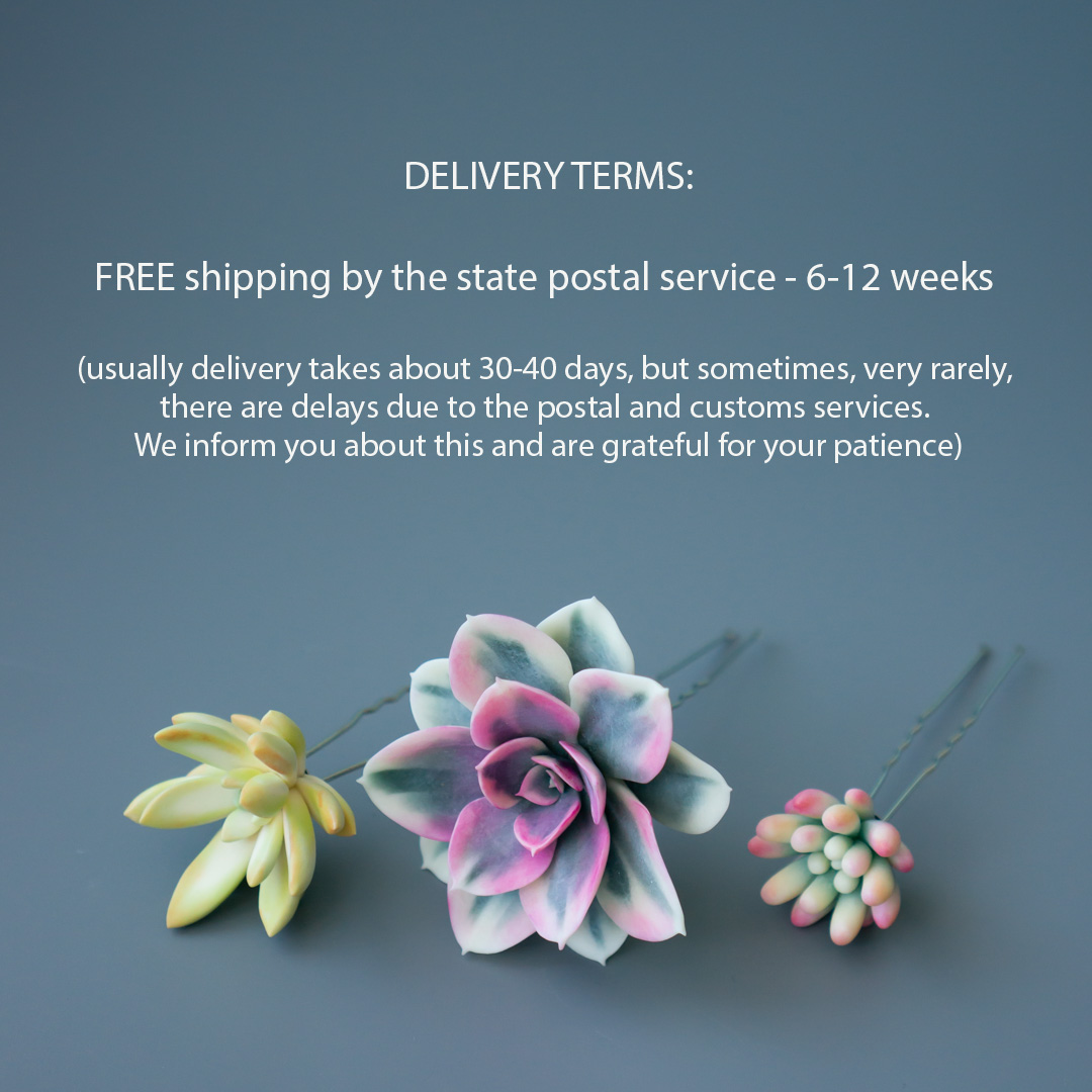 8_succulent_wedding_hairpin_set_echeveria_rainbow_variegated