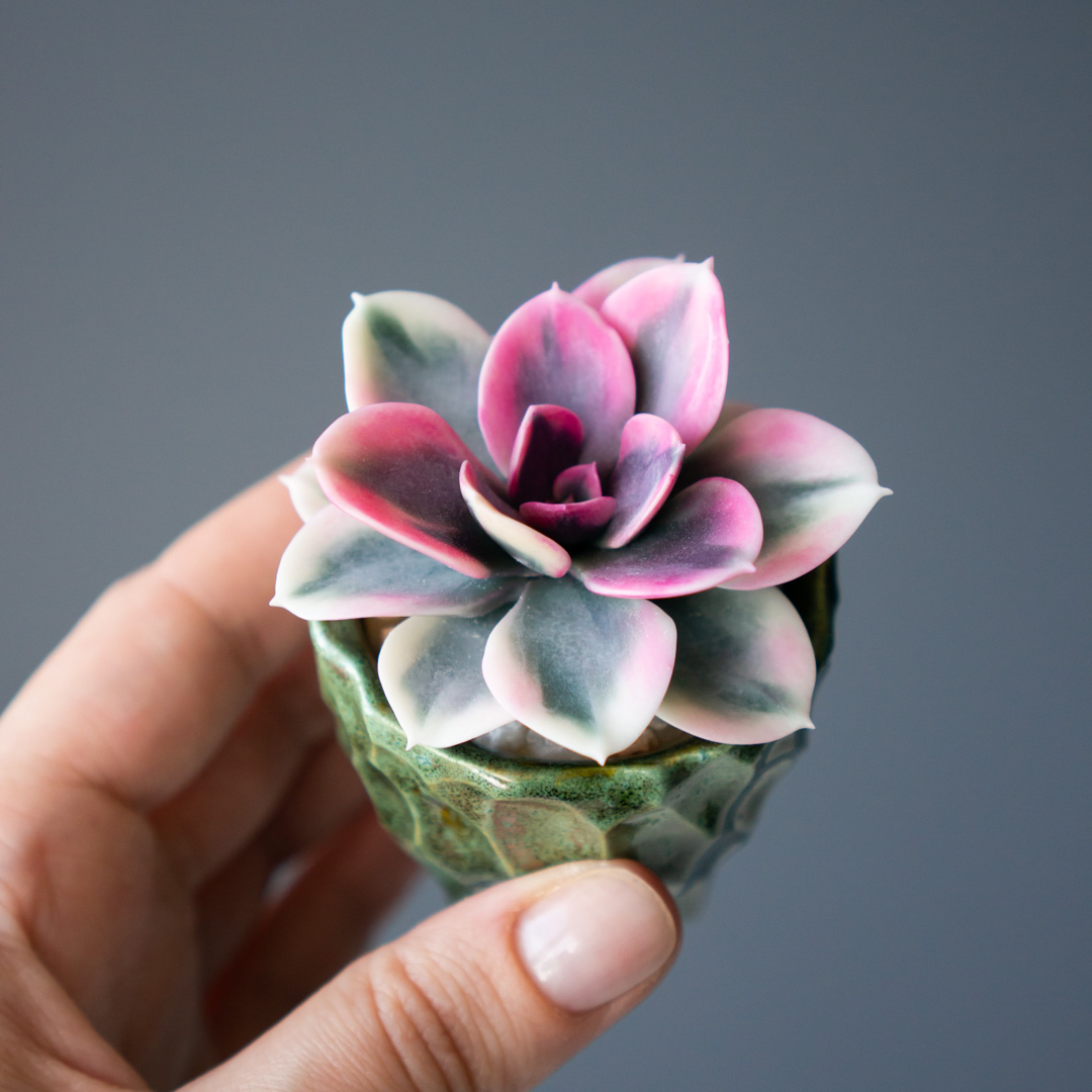 9_stash_jewelry_box_with_handcrafted_echeveria_rainbow