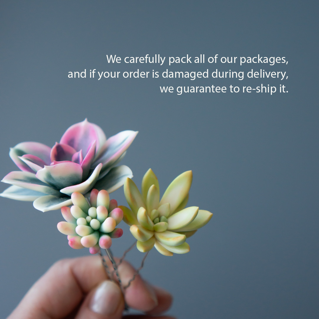 9_succulent_wedding_hairpin_set_echeveria_rainbow_variegated
