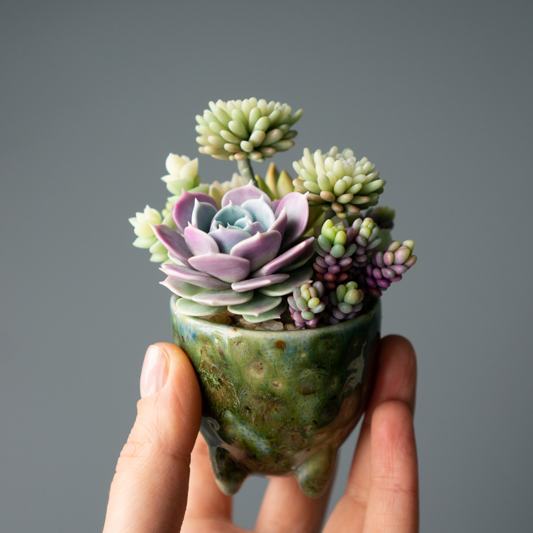 10_stash_trinket_box_polymer_clay_echeveria_lola_sedum_minor_nussbaumerianum_crassula