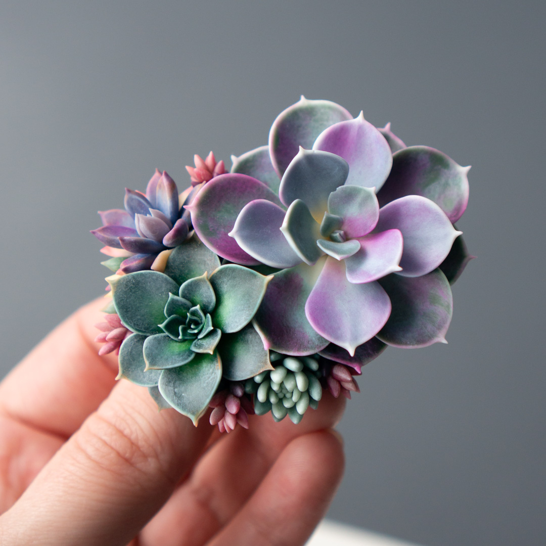 1_echeveria_perle_von_nurnberg_polymer_clay_brooch