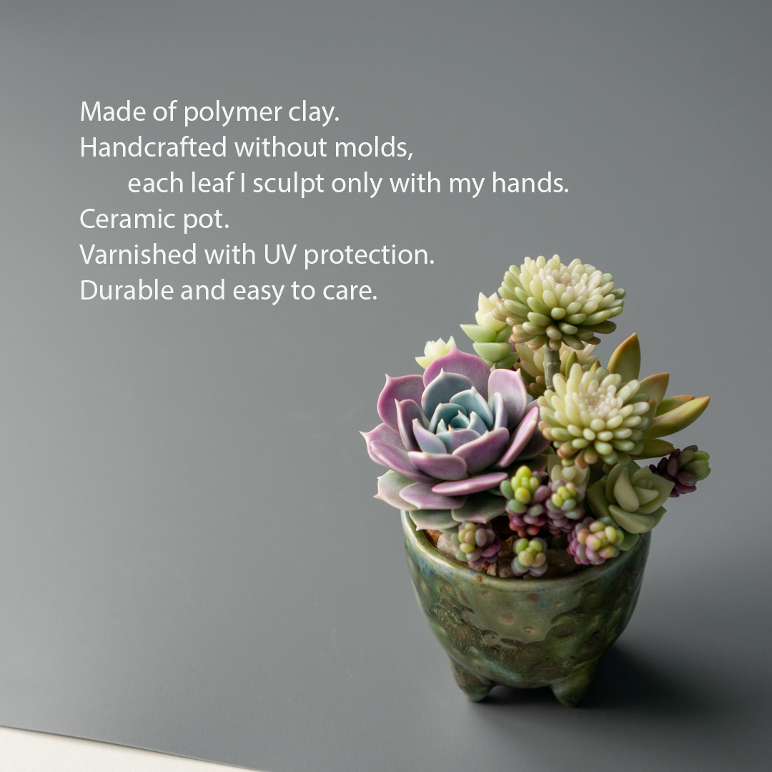 2_stash_trinket_box_polymer_clay_echeveria_lola_sedum_minor_nussbaumerianum_crassula