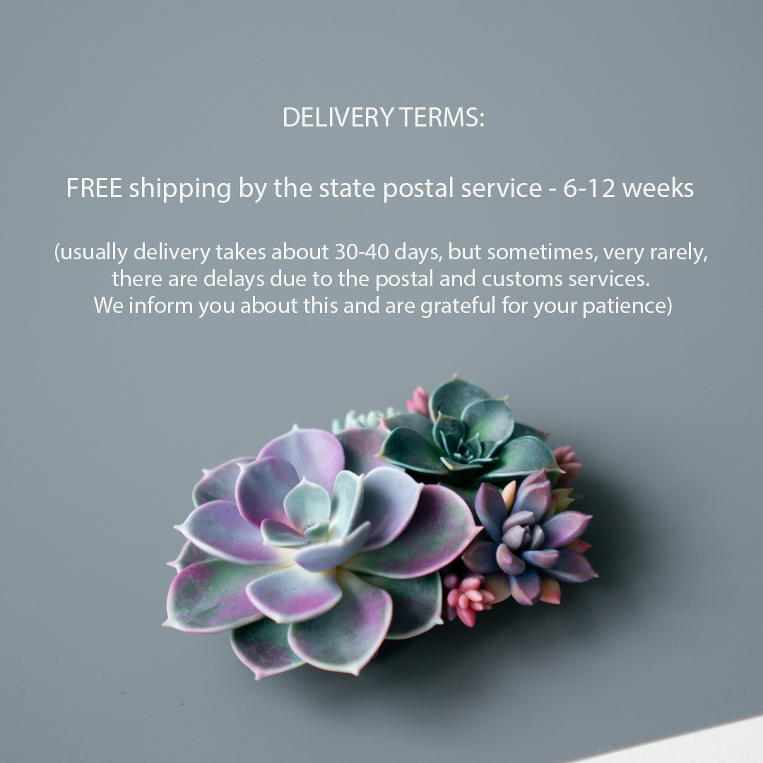 6_echeveria_perle_von_nurnberg_polymer_clay_brooch
