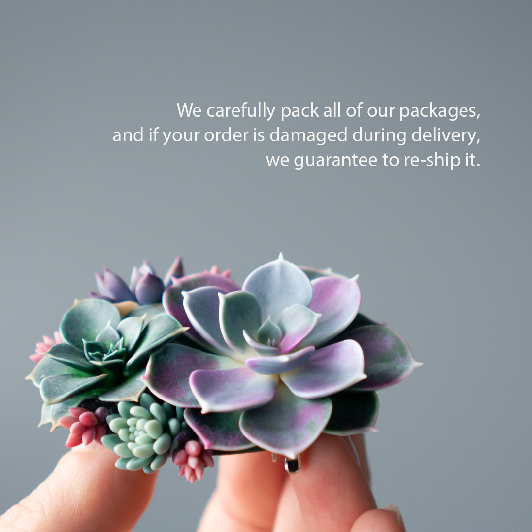 7_echeveria_perle_von_nurnberg_polymer_clay_brooch