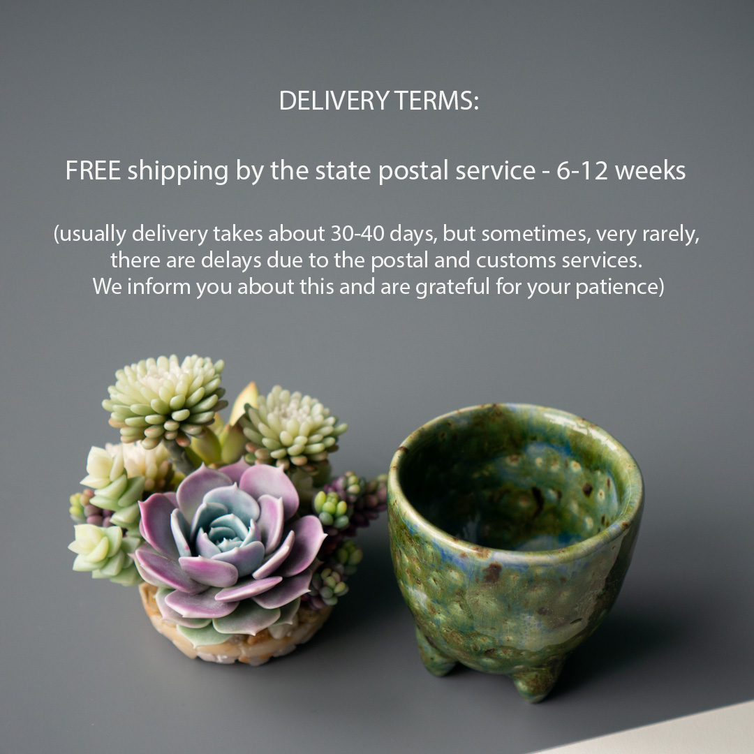 7_stash_trinket_box_polymer_clay_echeveria_lola_sedum_minor_nussbaumerianum_crassula