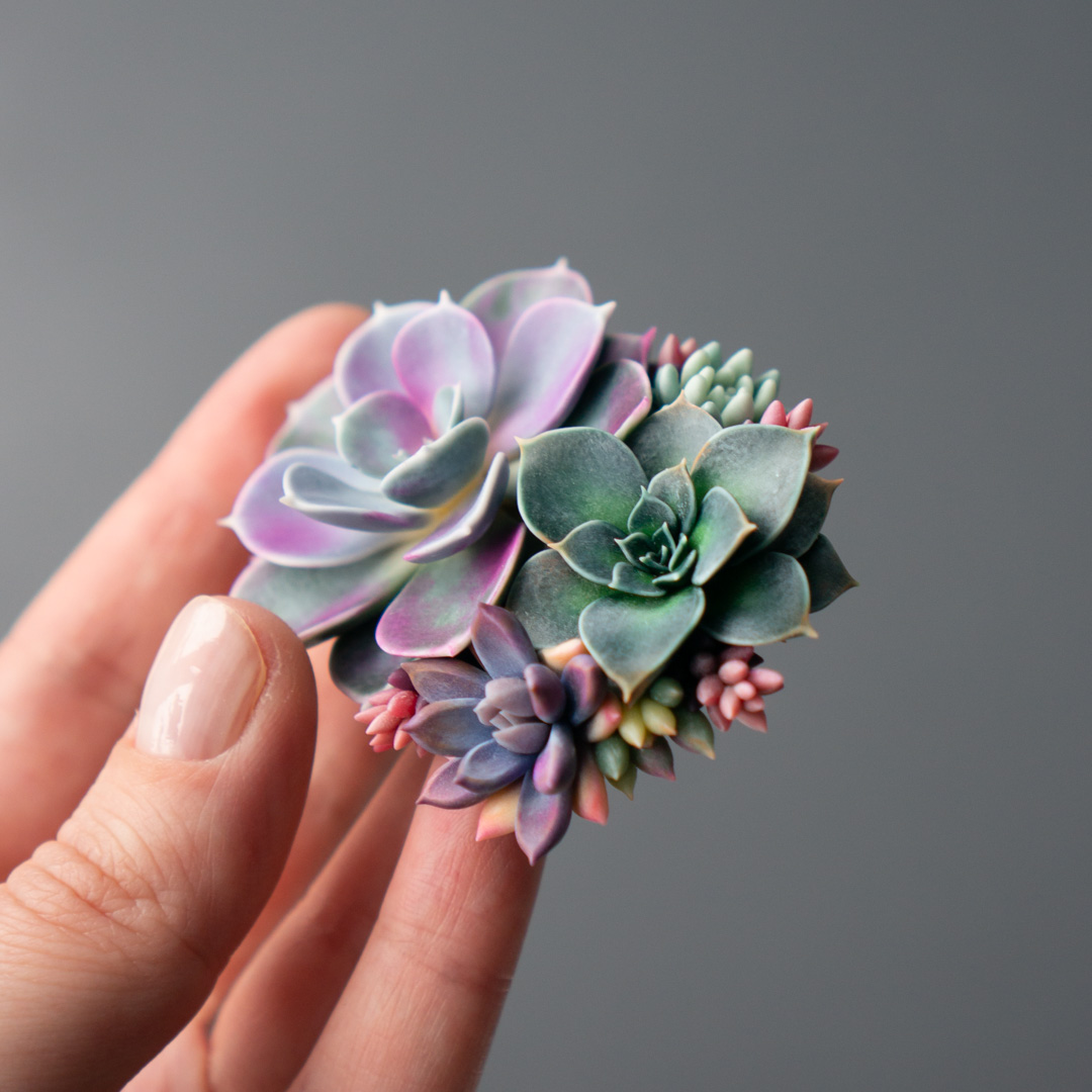 8_echeveria_perle_von_nurnberg_polymer_clay_brooch