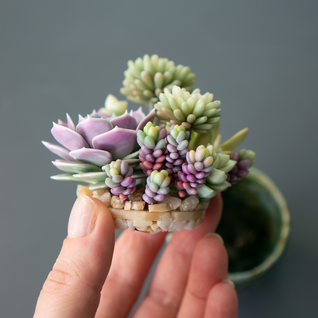 9_stash_trinket_box_polymer_clay_echeveria_lola_sedum_minor_nussbaumerianum_crassula