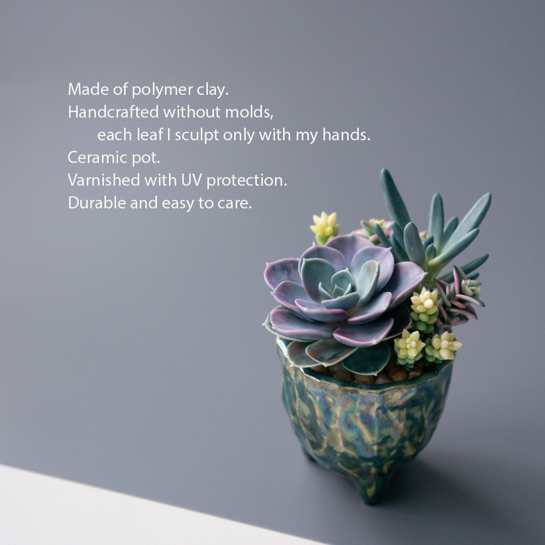 02_stash_jewelry_box_with_echeveria_perle_von_nurnberg