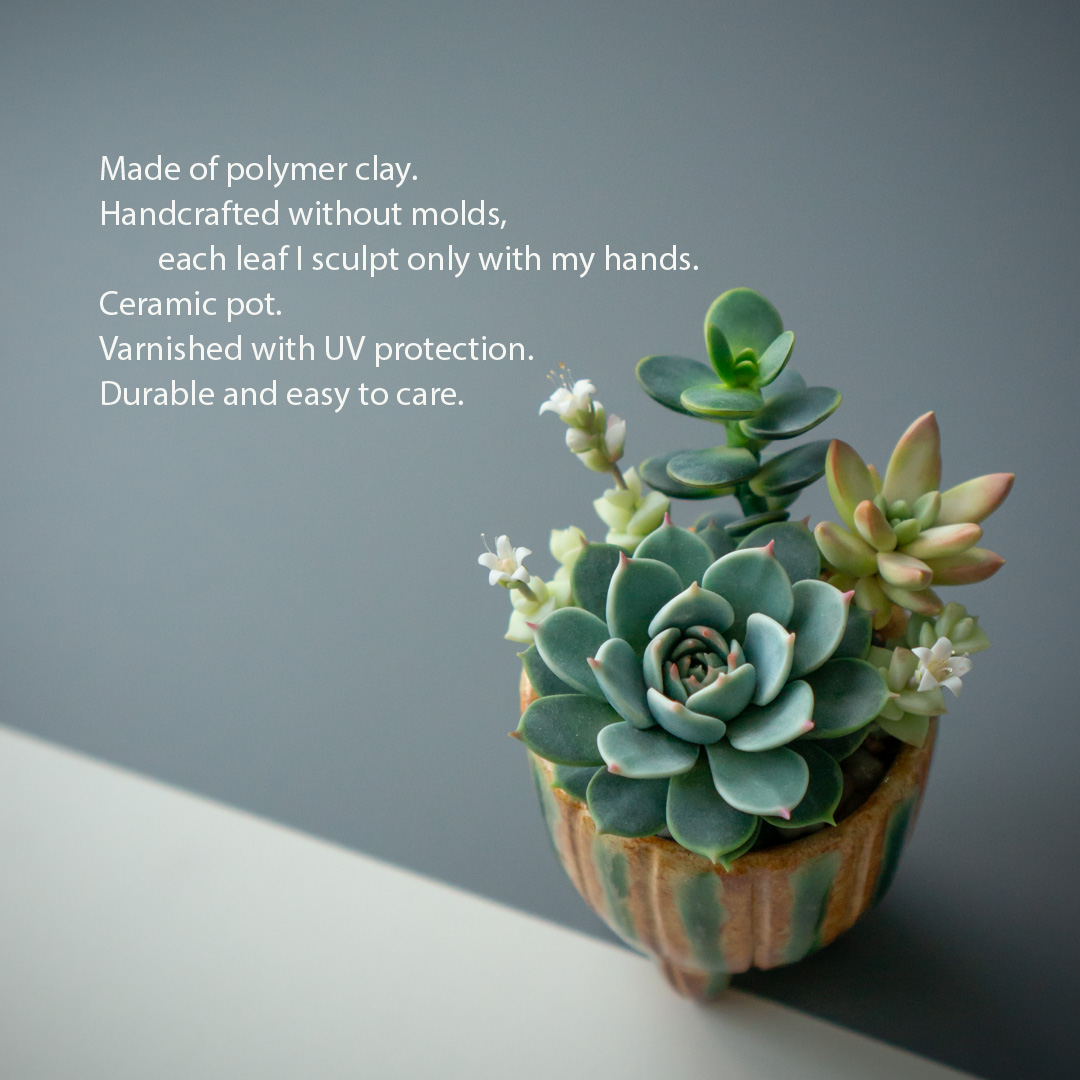 02_succulent_jewelry_box_with_echeveria_chihuahuensis_and_crassula_ovata