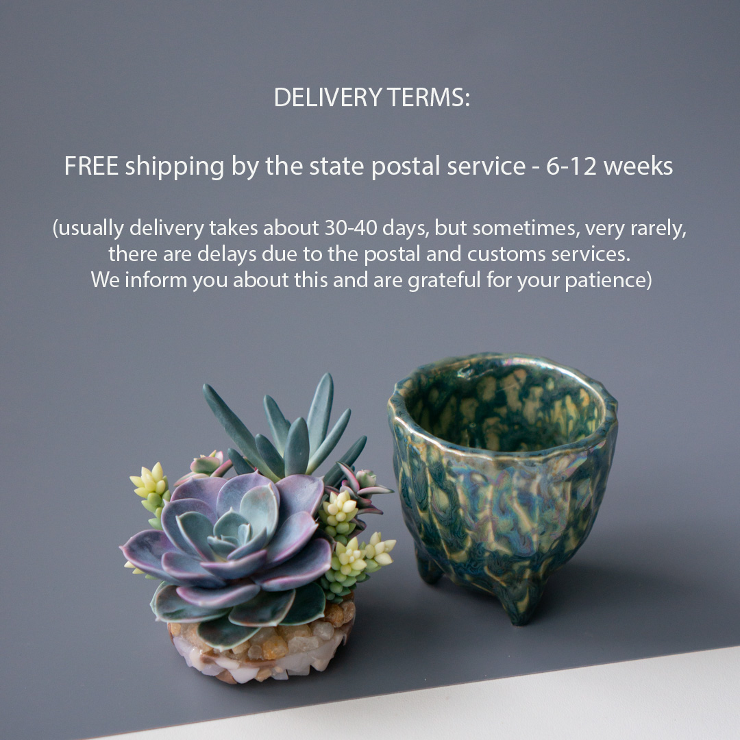 05_stash_jewelry_box_with_echeveria_perle_von_nurnberg