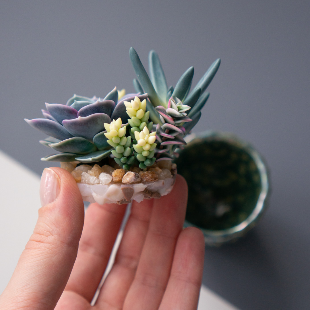 08_stash_jewelry_box_with_echeveria_perle_von_nurnberg