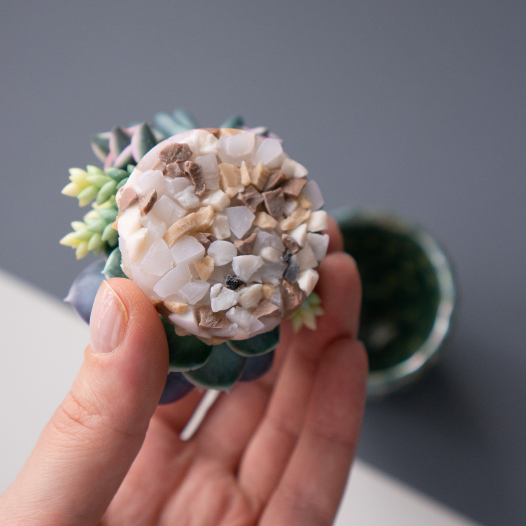 09_stash_jewelry_box_with_echeveria_perle_von_nurnberg