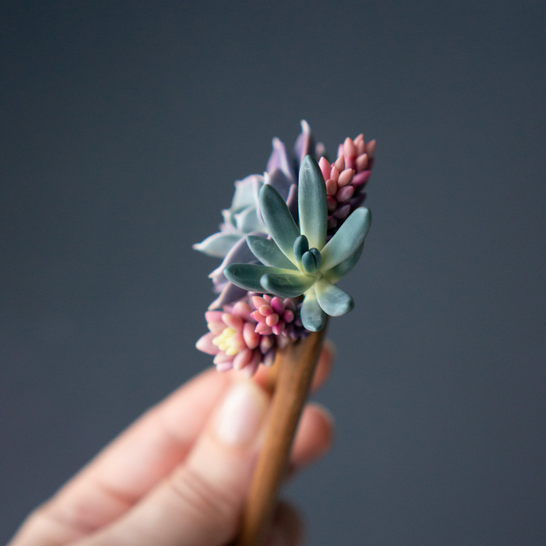 09_wooden_hairpin_with_echeveria_perle_von_nurnberg_senecio_serpens_sedeveria_pink_granite
