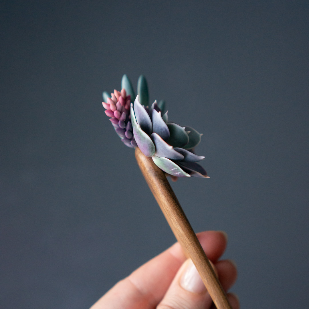10_wooden_hairpin_with_echeveria_perle_von_nurnberg_senecio_serpens_sedeveria_pink_granite