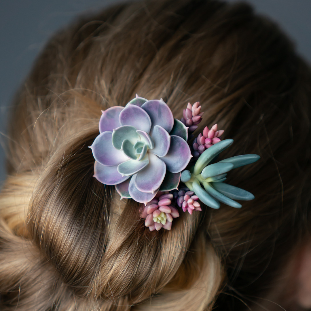 11_wooden_hairpin_with_echeveria_perle_von_nurnberg_senecio_serpens_sedeveria_pink_granite