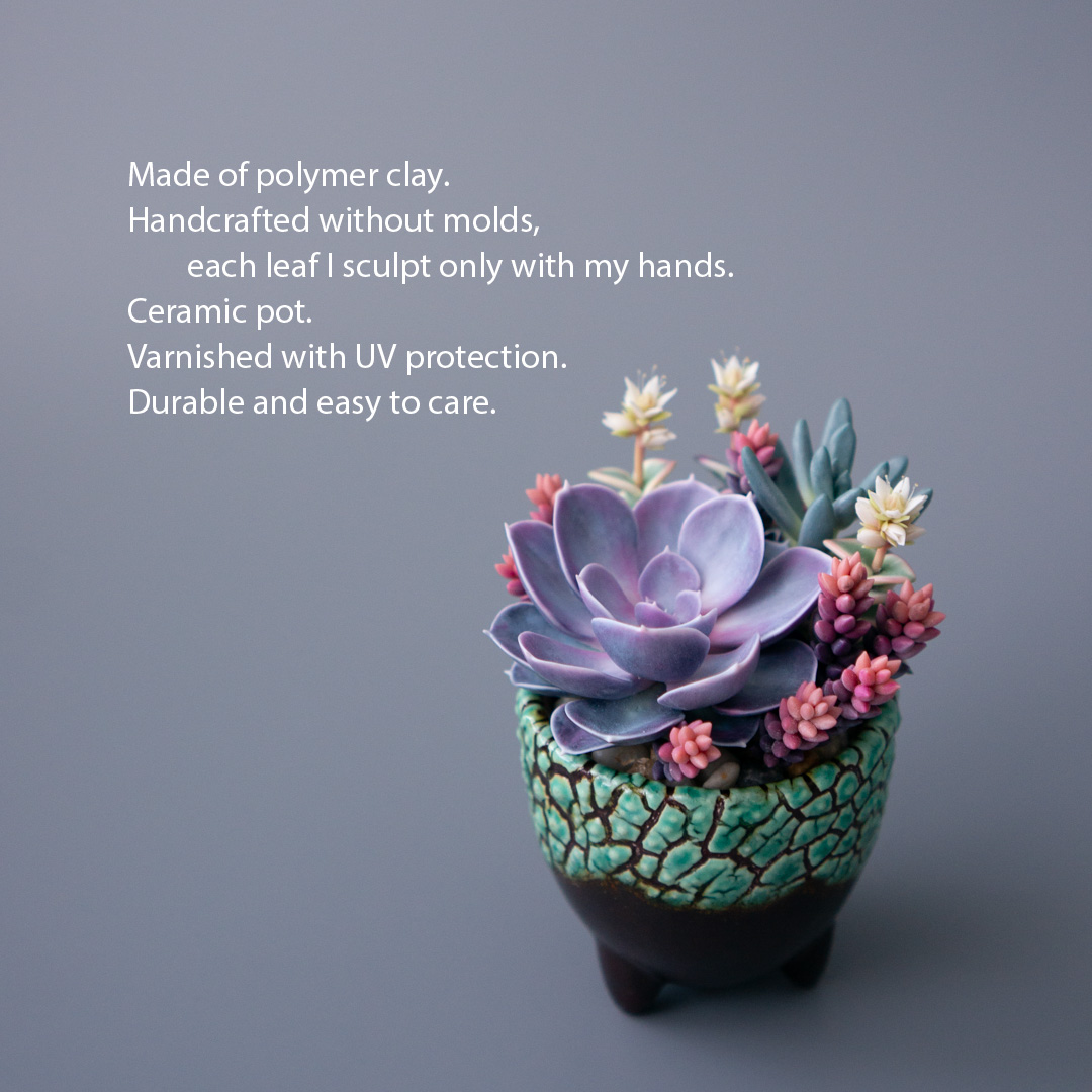 02_jewelry_box_echeveria_perle_von_nurnberg_crassula_calico_kitten_senecio_serpens
