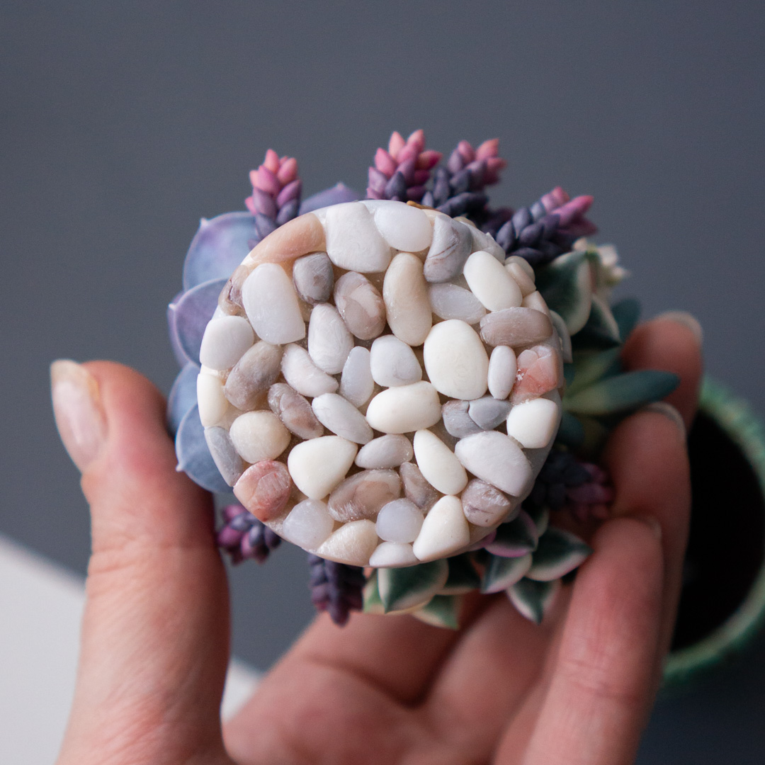 06_jewelry_box_echeveria_perle_von_nurnberg_crassula_calico_kitten_senecio_serpens