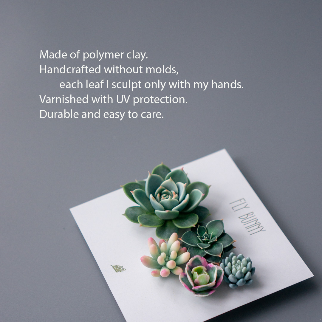 02_brooch_set_with_realistic_succulents_echeveria_chihuahuensis_sedum_spurium_tricolor
