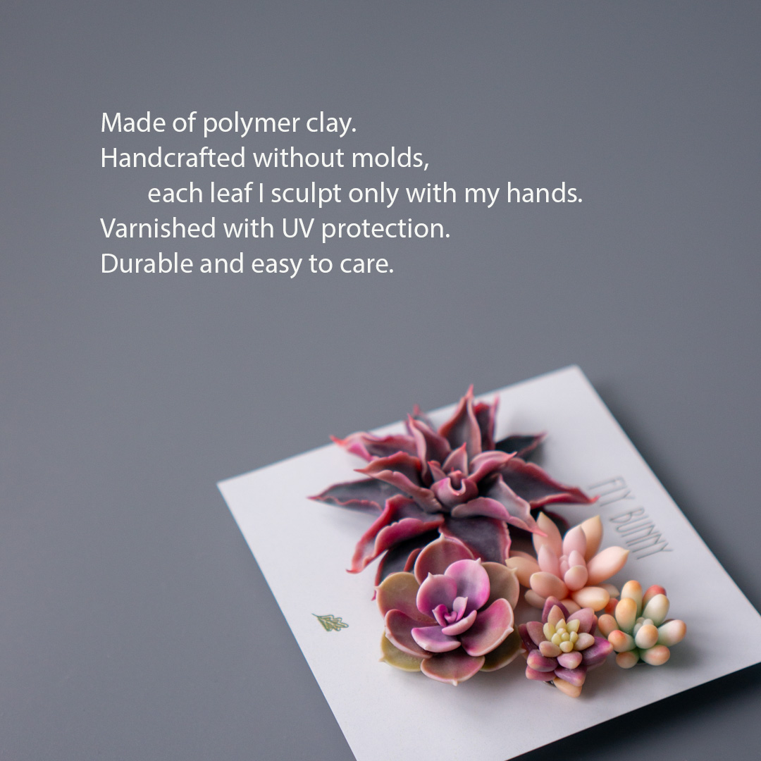 02_brooch_set_with_realistic_succulents_echeveria_madiba_graptopetalum_mirinae