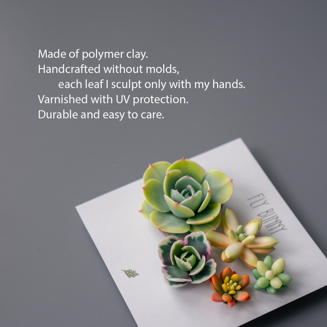 02_brooch_set_with_realistic_succulents_echeveria_peach_pride_sedum_nussbaumerianum