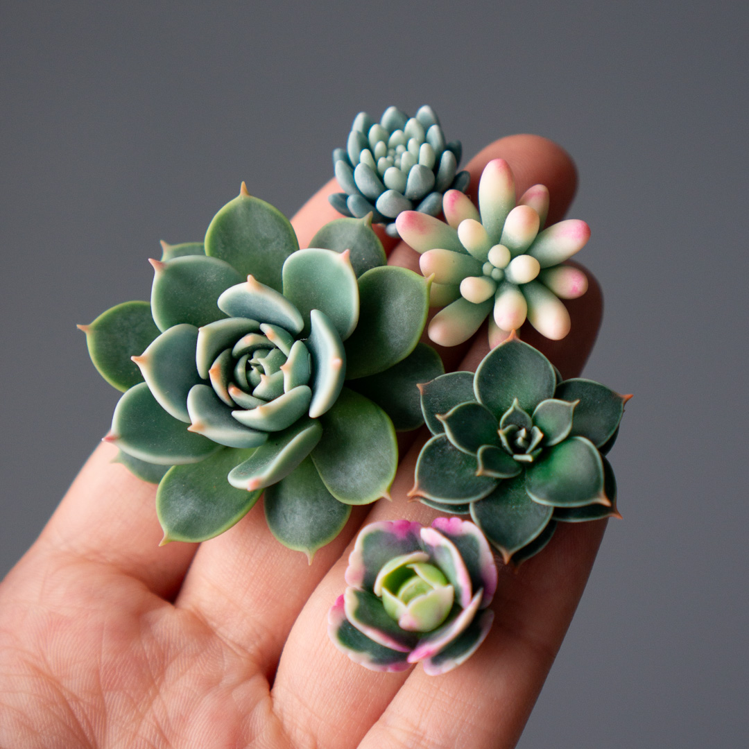 03_brooch_set_with_realistic_succulents_echeveria_chihuahuensis_sedum_spurium_tricolor