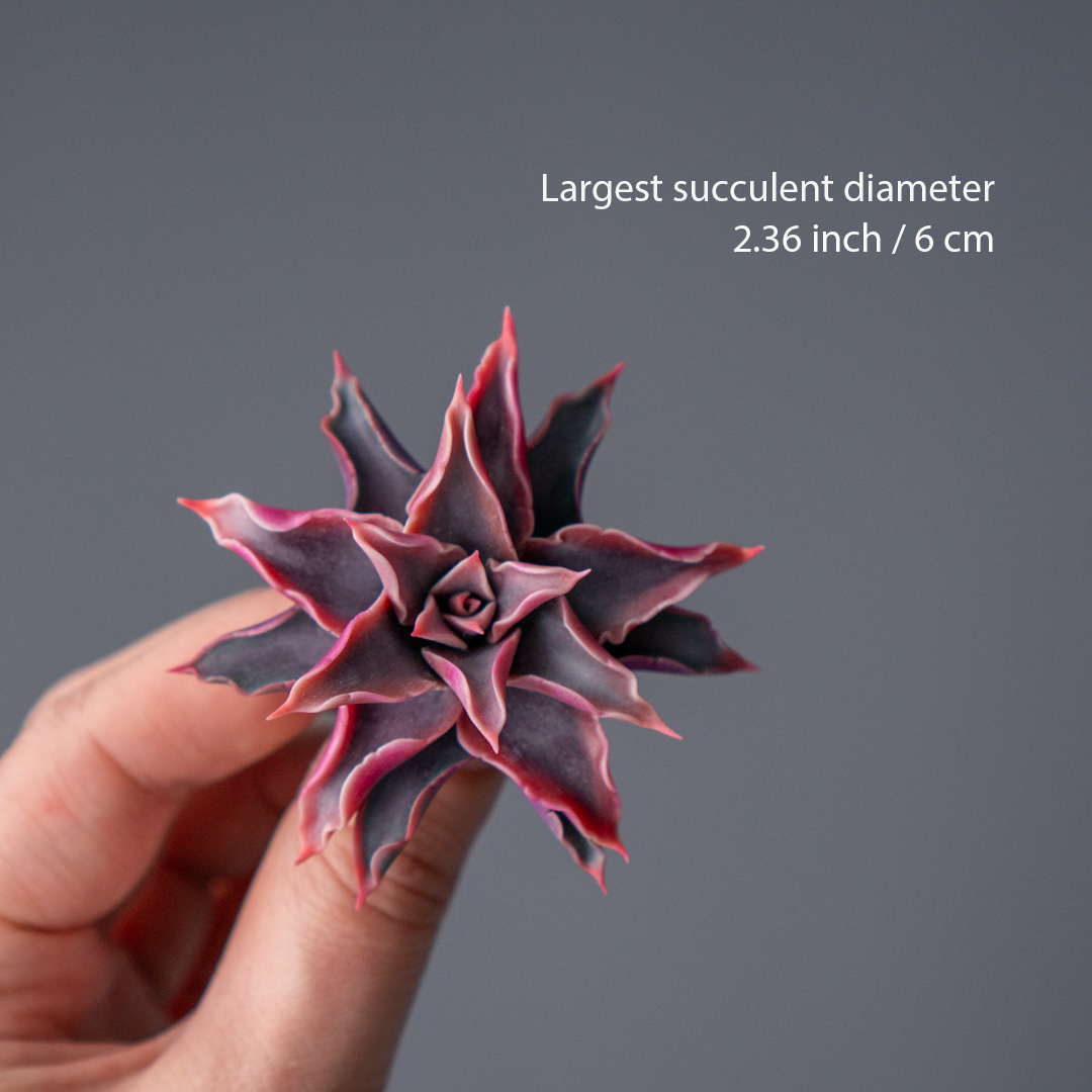 03_brooch_set_with_realistic_succulents_echeveria_madiba_graptopetalum_mirinae