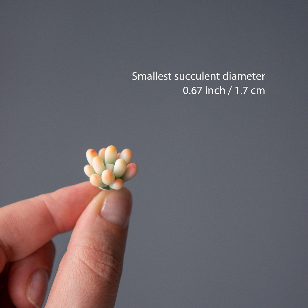 04_brooch_set_with_realistic_succulents_echeveria_madiba_graptopetalum_mirinae