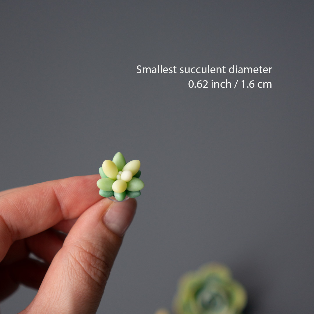 04_brooch_set_with_realistic_succulents_echeveria_peach_pride_sedum_nussbaumerianum