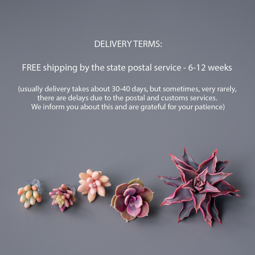 06_brooch_set_with_realistic_succulents_echeveria_madiba_graptopetalum_mirinae