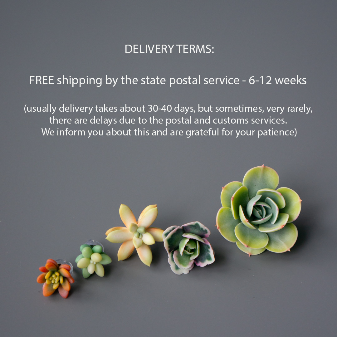 06_brooch_set_with_realistic_succulents_echeveria_peach_pride_sedum_nussbaumerianum