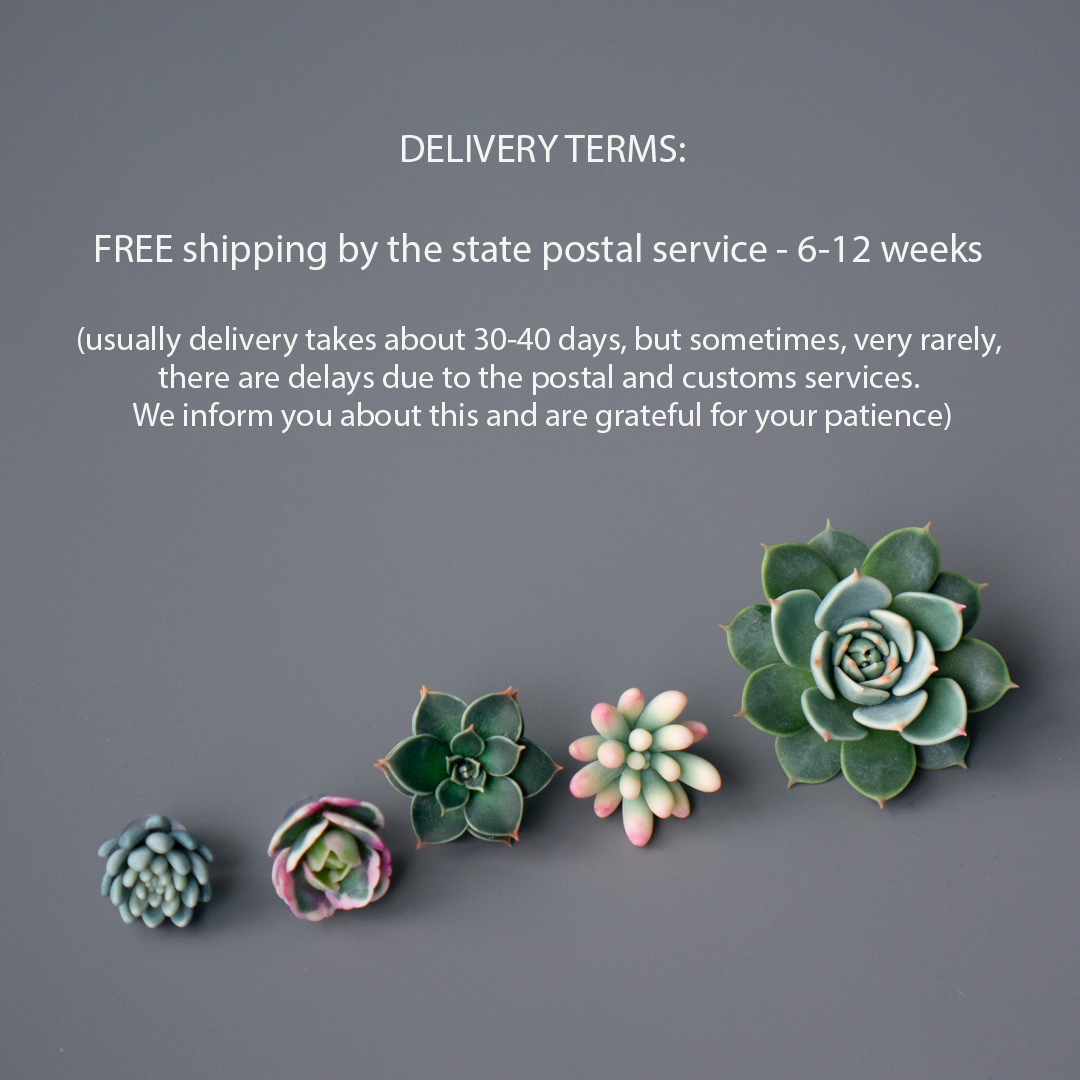 07_brooch_set_with_realistic_succulents_echeveria_chihuahuensis_sedum_spurium_tricolor