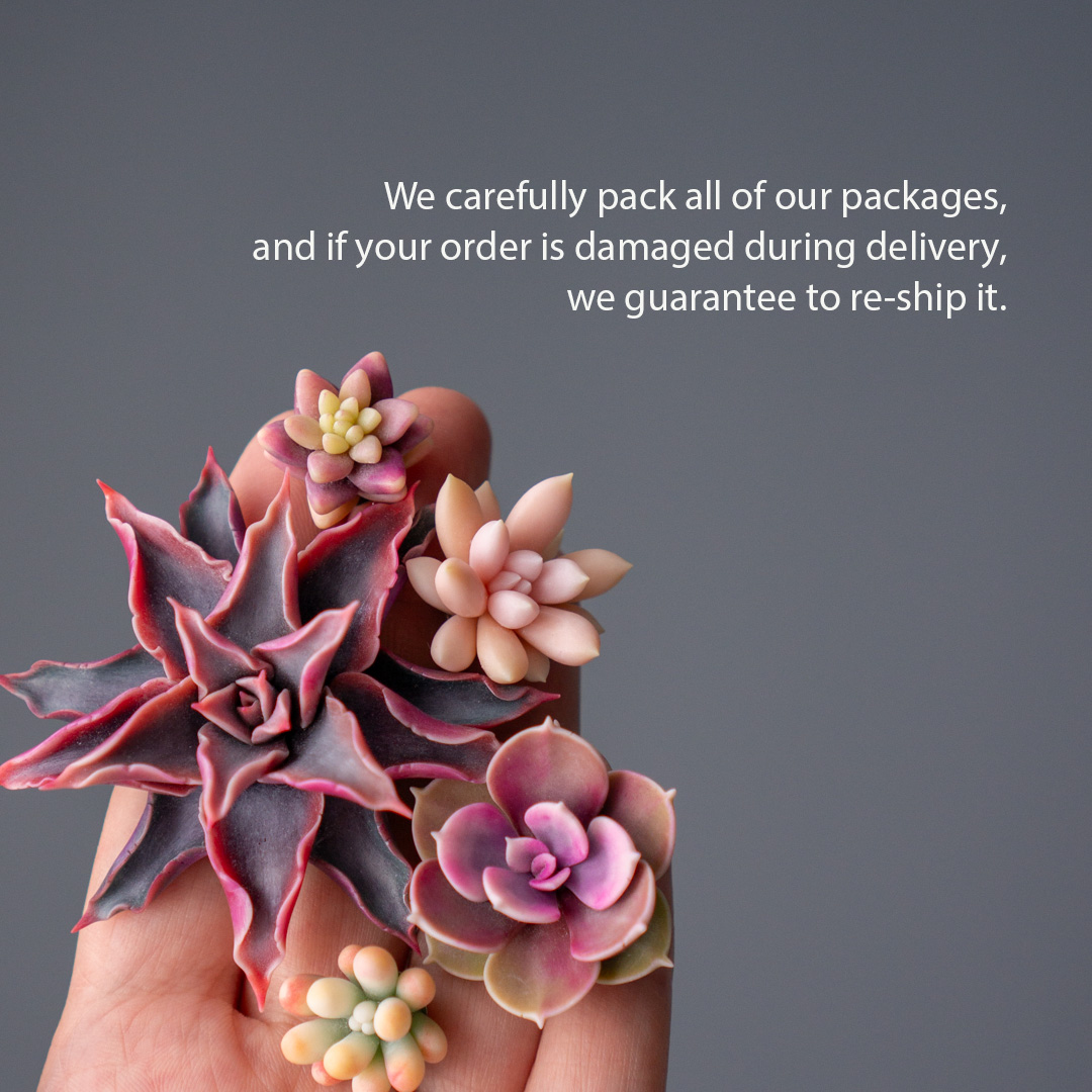 07_brooch_set_with_realistic_succulents_echeveria_madiba_graptopetalum_mirinae