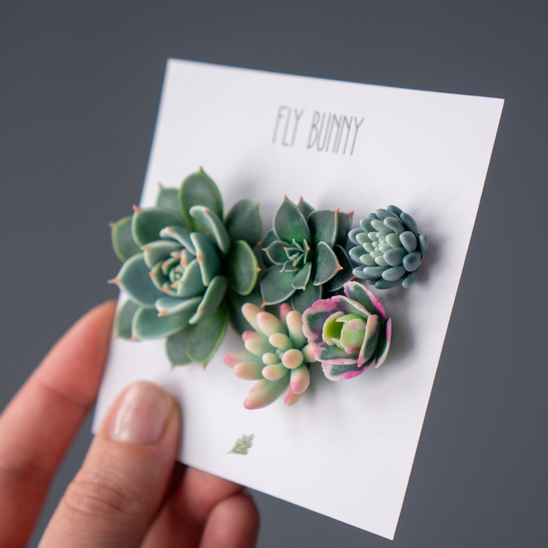 09_brooch_set_with_realistic_succulents_echeveria_chihuahuensis_sedum_spurium_tricolor