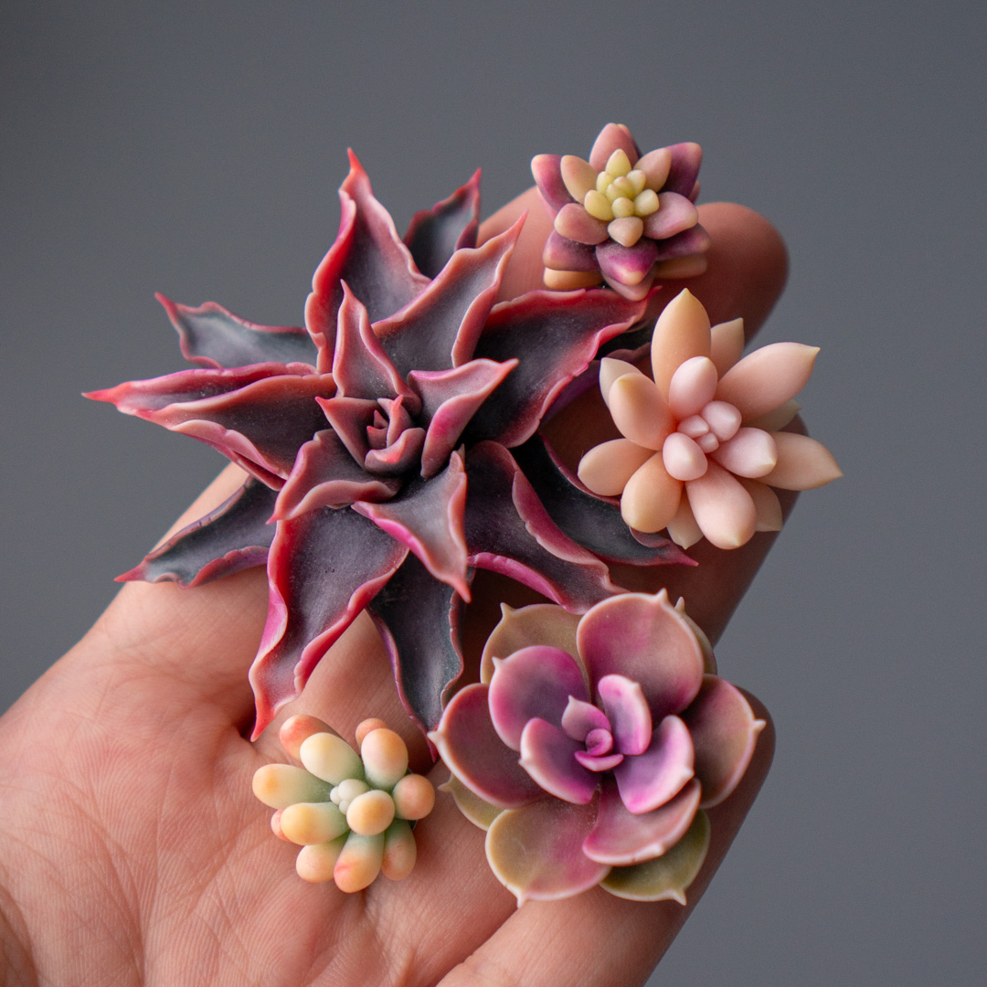 09_brooch_set_with_realistic_succulents_echeveria_madiba_graptopetalum_mirinae