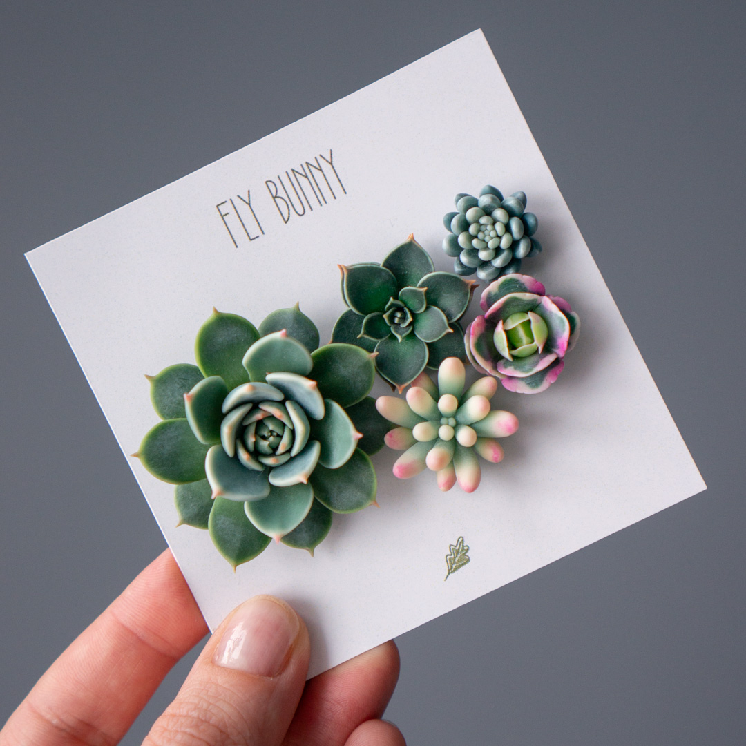 10_brooch_set_with_realistic_succulents_echeveria_chihuahuensis_sedum_spurium_tricolor